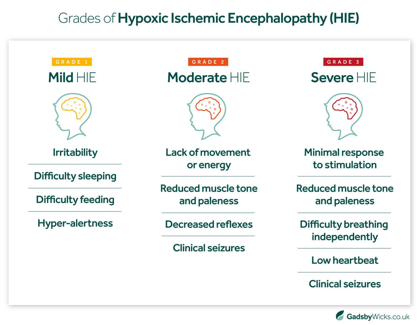 Grades of Hypoxic Ischemic Encephalopathy (HIE) Infographic