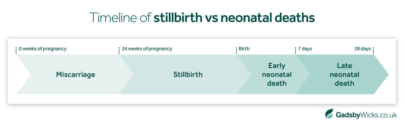 Gadsby Wicks infographic showing the timeline when stillbirth deaths become neonatal deaths, to help plan a stillbirth negligence claims